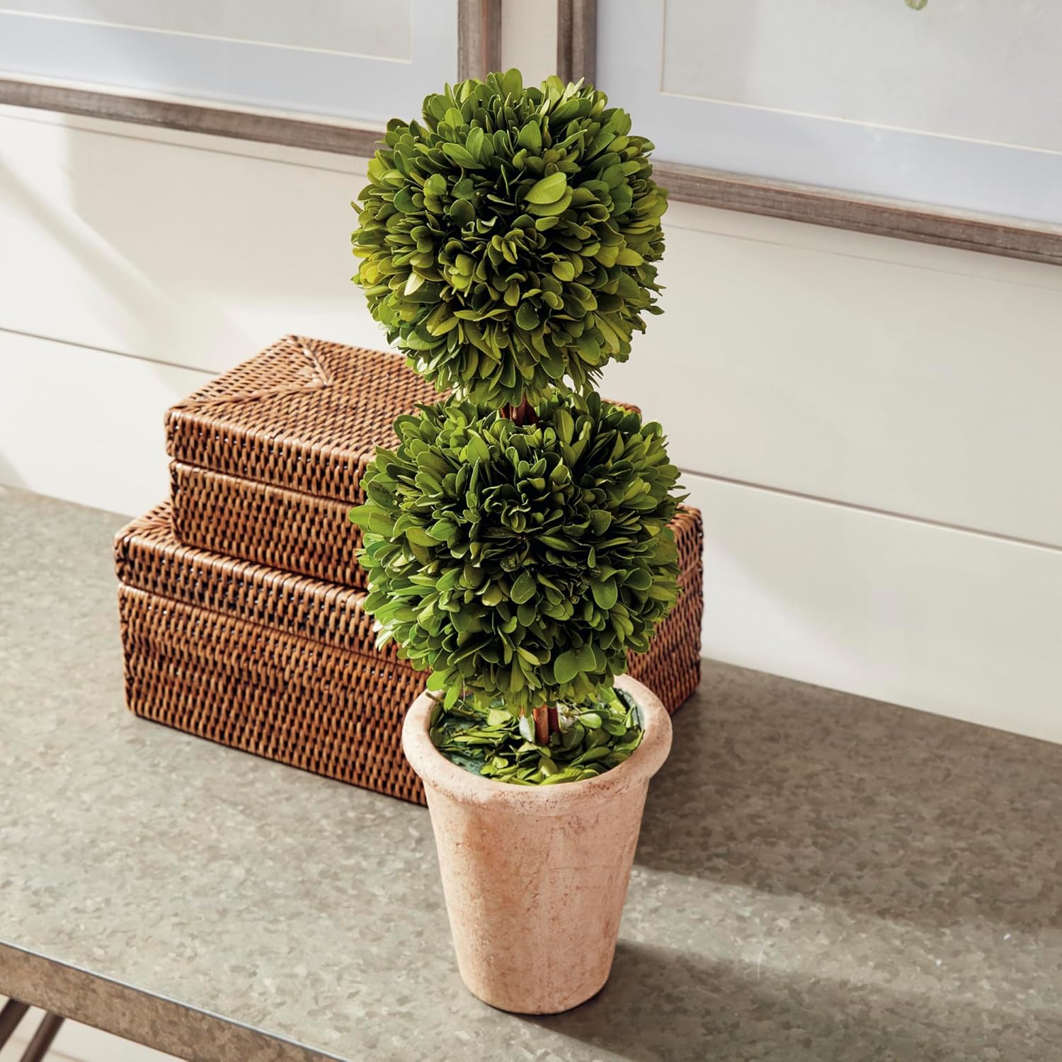 Traditional Garden Preserved Boxwood Double Sphere Topiary 20-Inch