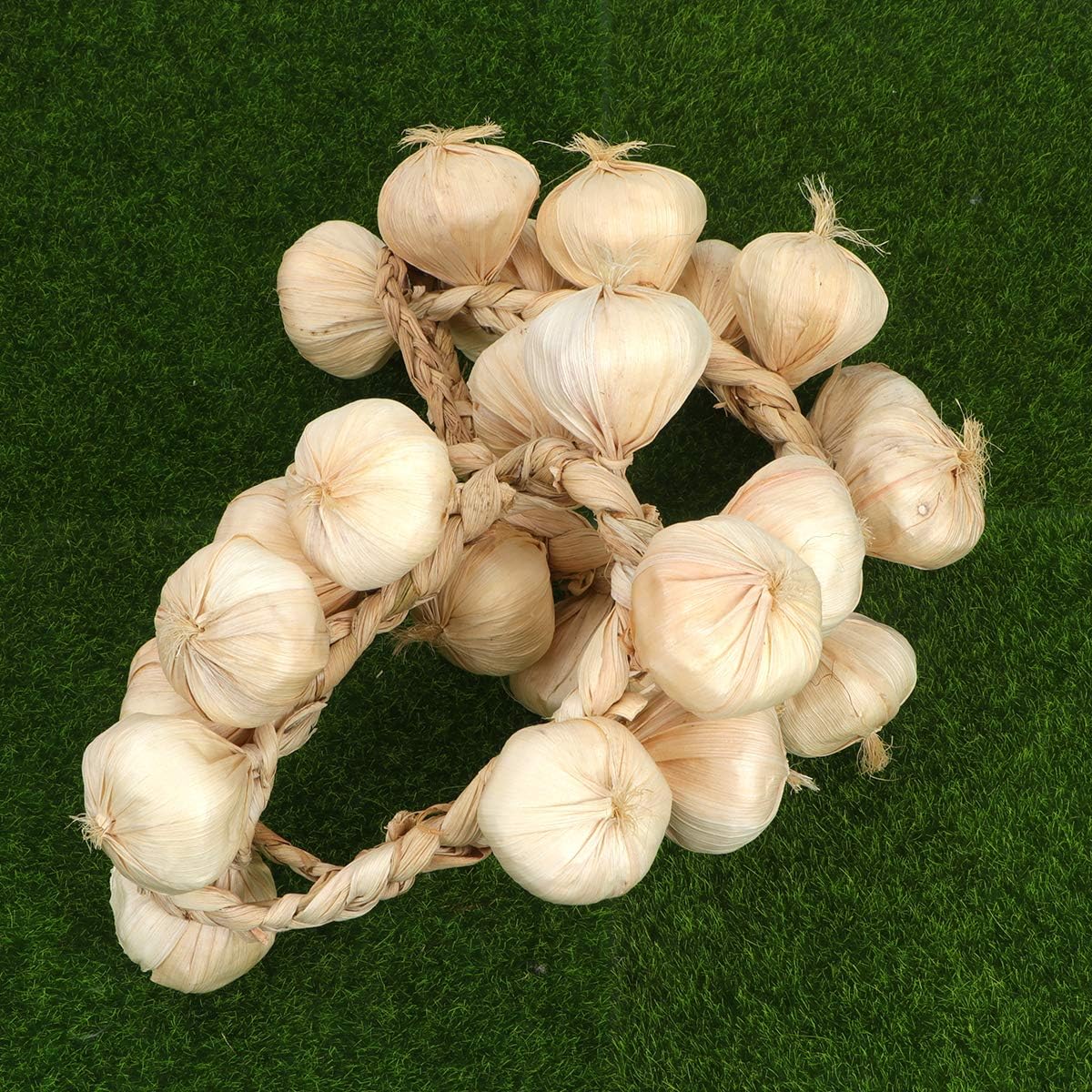 BESPORTBLE Garlic Hanging Strings for Home and Halloween Decor