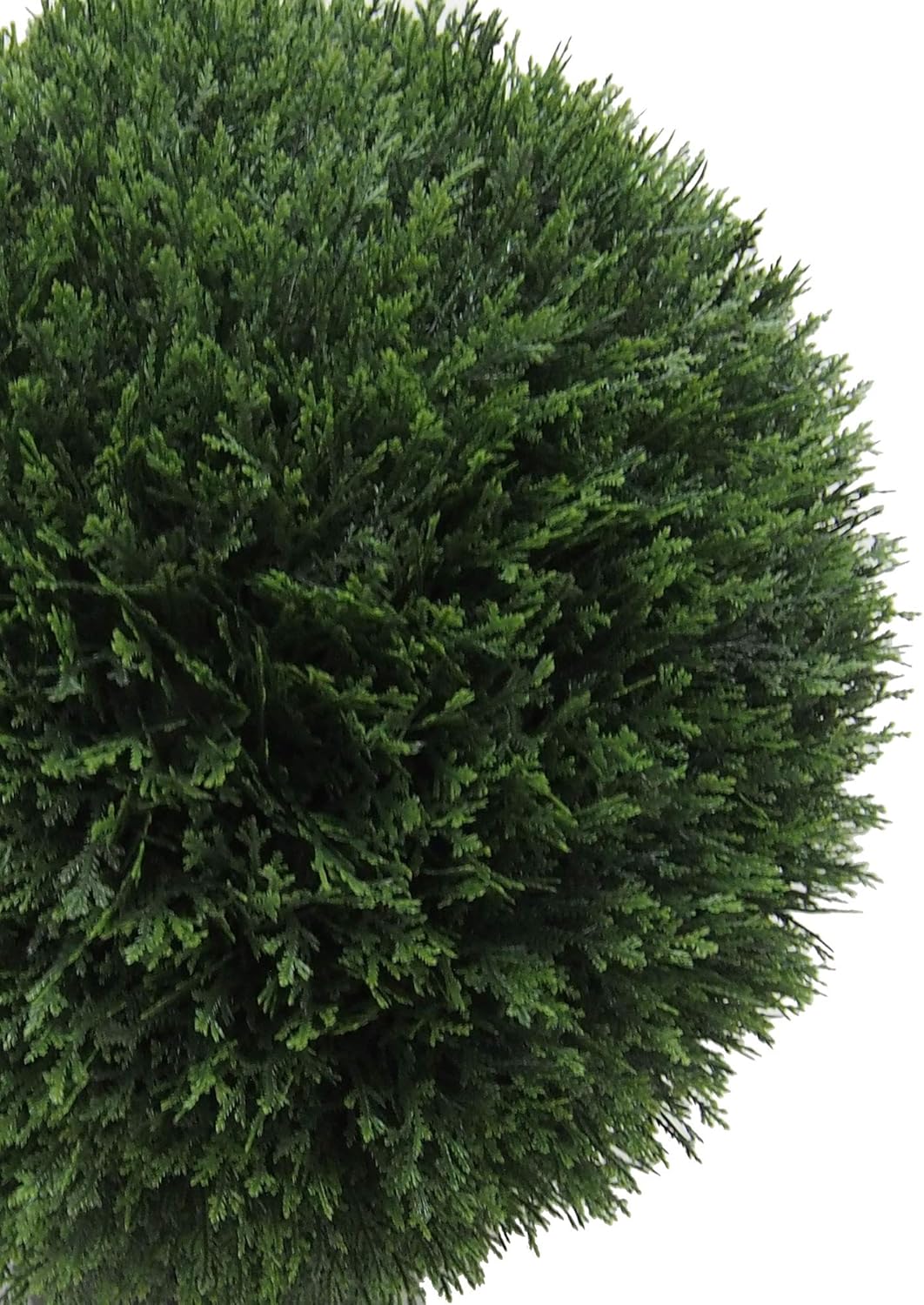 Vickerman 20 Inch Artificial Silk Cedar Topiary Ball
