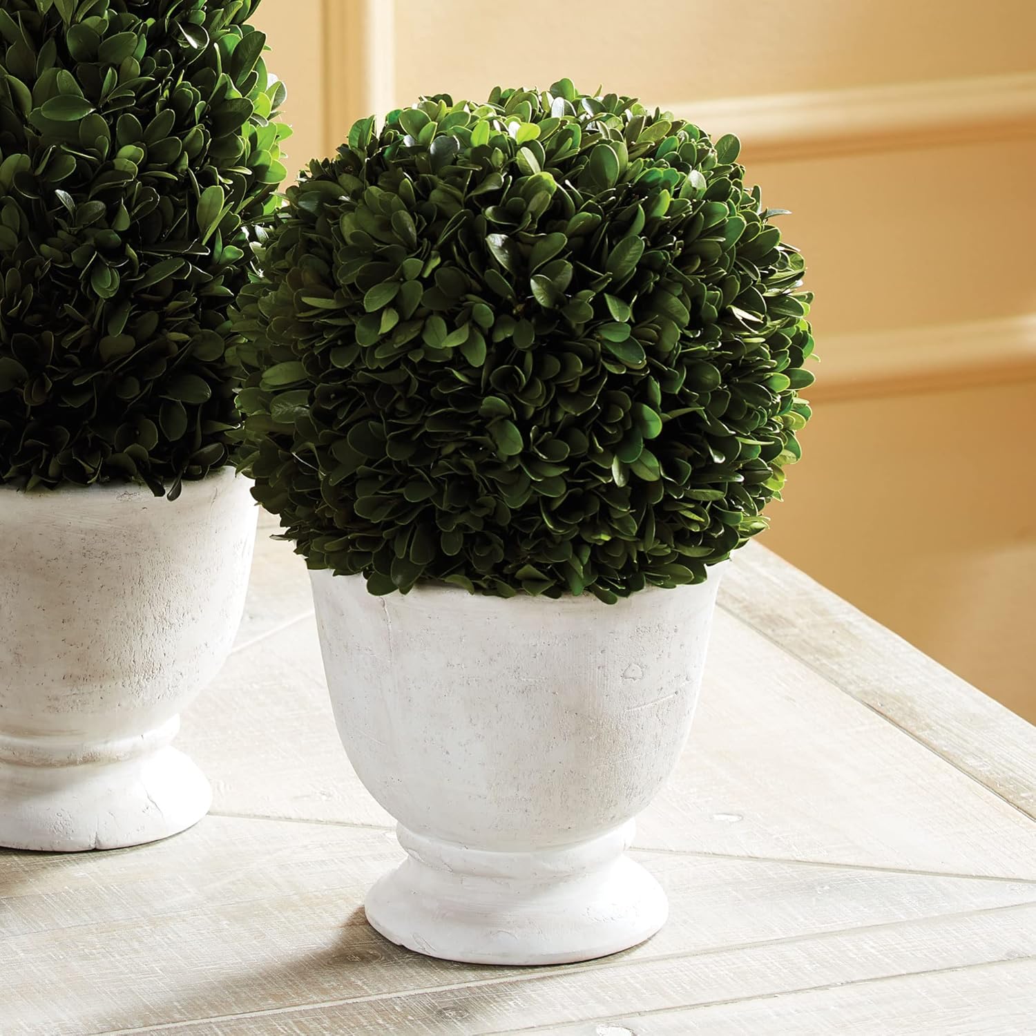 MY SWANKY HOME Elegant 12in Ball Sphere Topiary in Pot