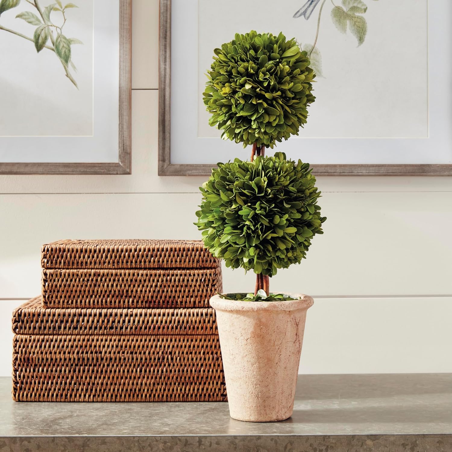 Traditional Garden Preserved Boxwood Double Sphere Topiary 20-Inch