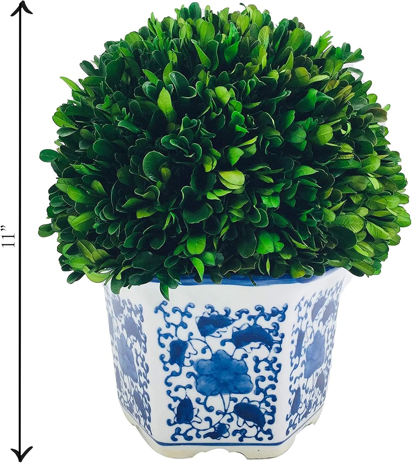 Galt International Preserved Boxwood Topiaries Blue White Pot 11 Ball 19 Tree