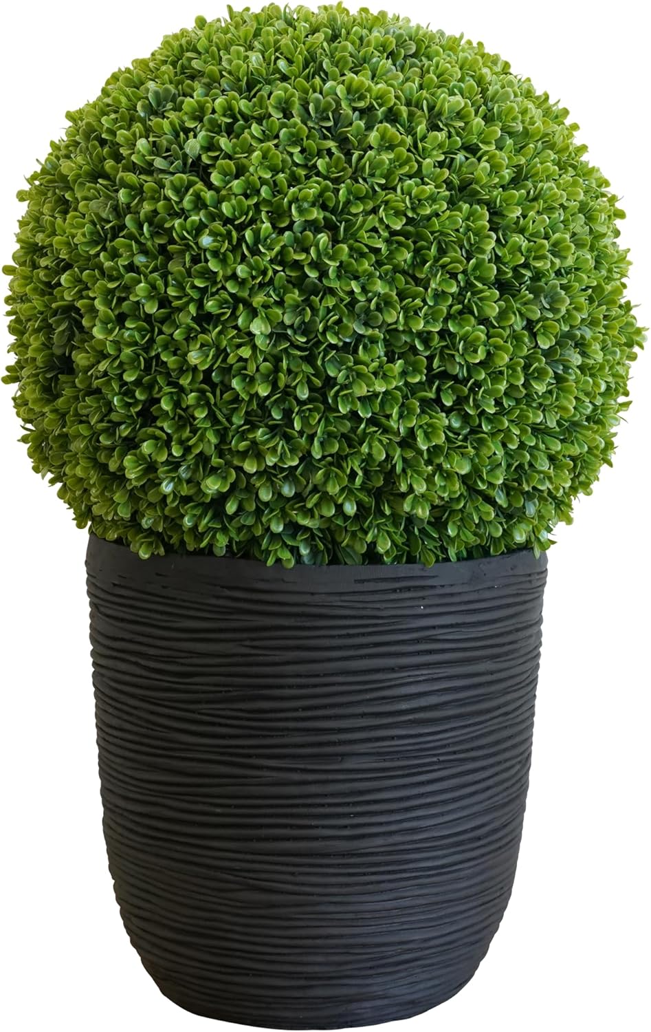 Natures Elements Tabletop Boxwood Topiary