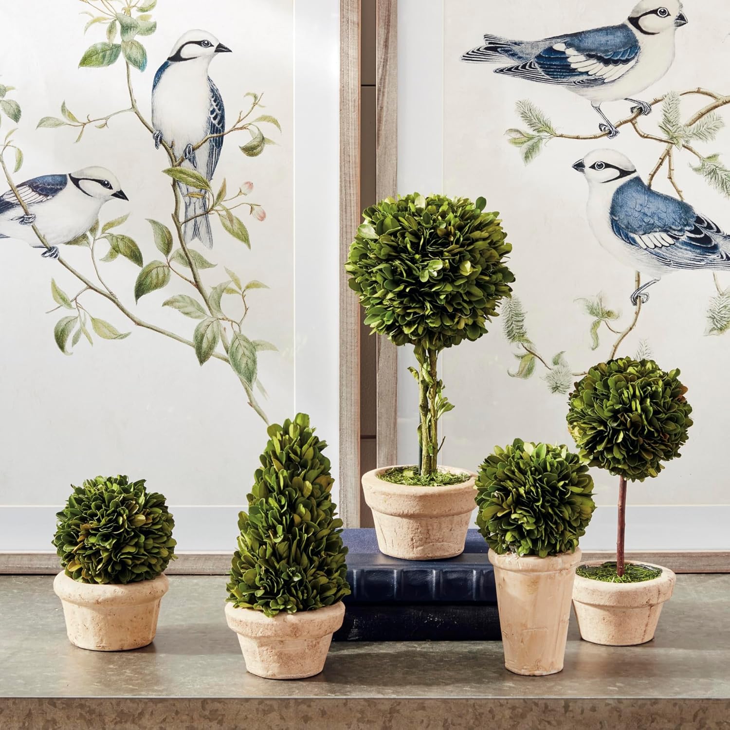 Traditional Garden Boxwood Topiaries Set Of 5 Green