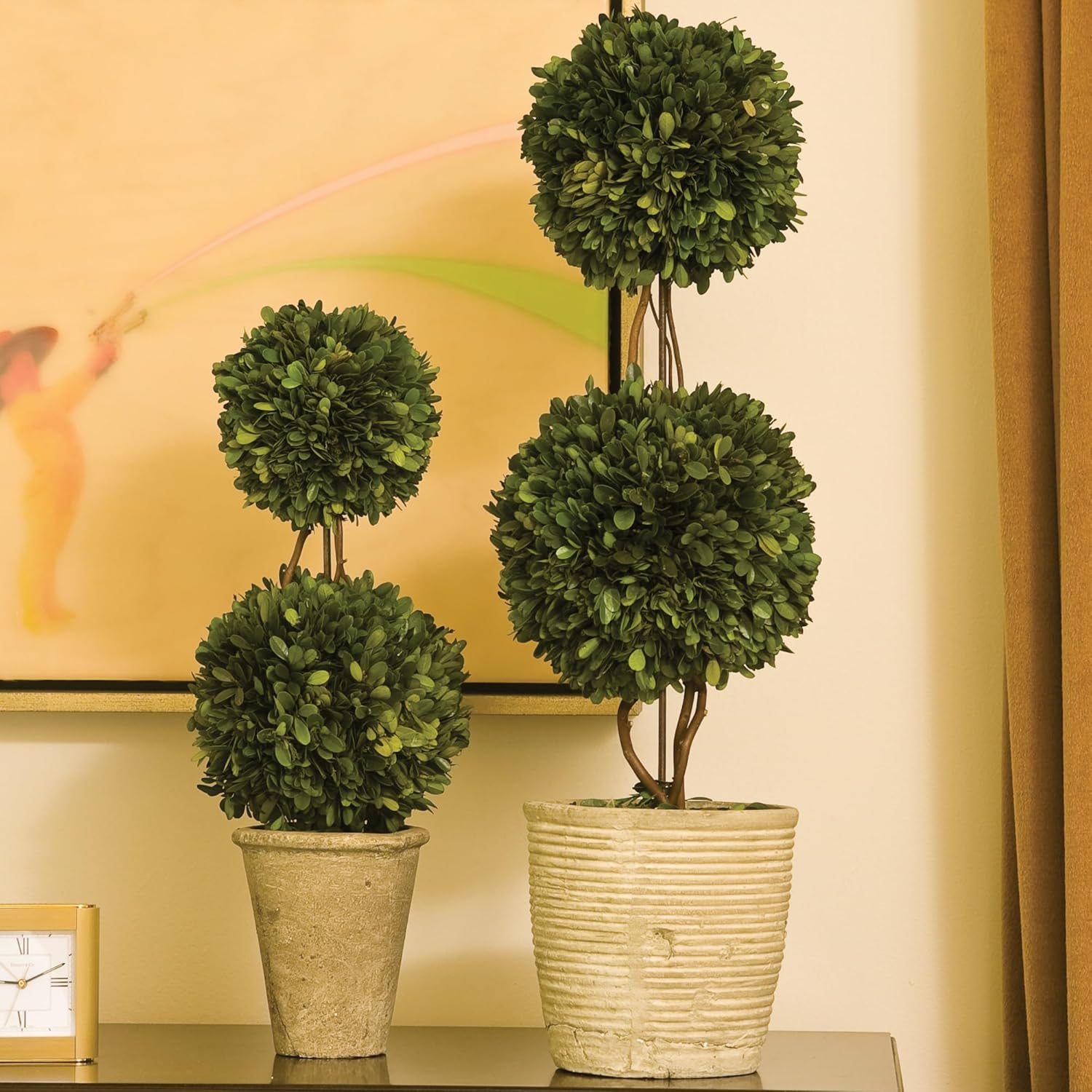 Traditional Garden Preserved Boxwood Double Sphere Topiary 20-Inch