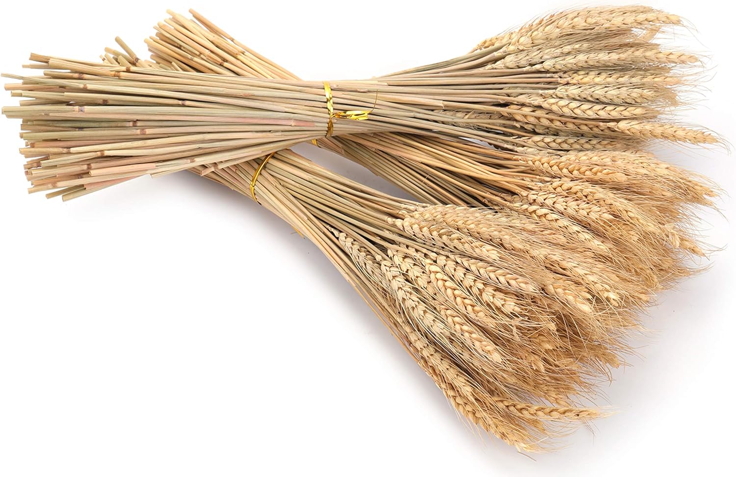 Yarlung 300 Stems Dried Wheat Sheaves 16 Inch NaturalFall Decor