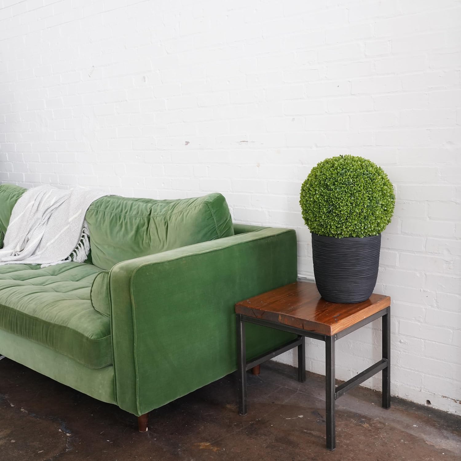 Natures Elements Tabletop Boxwood Topiary