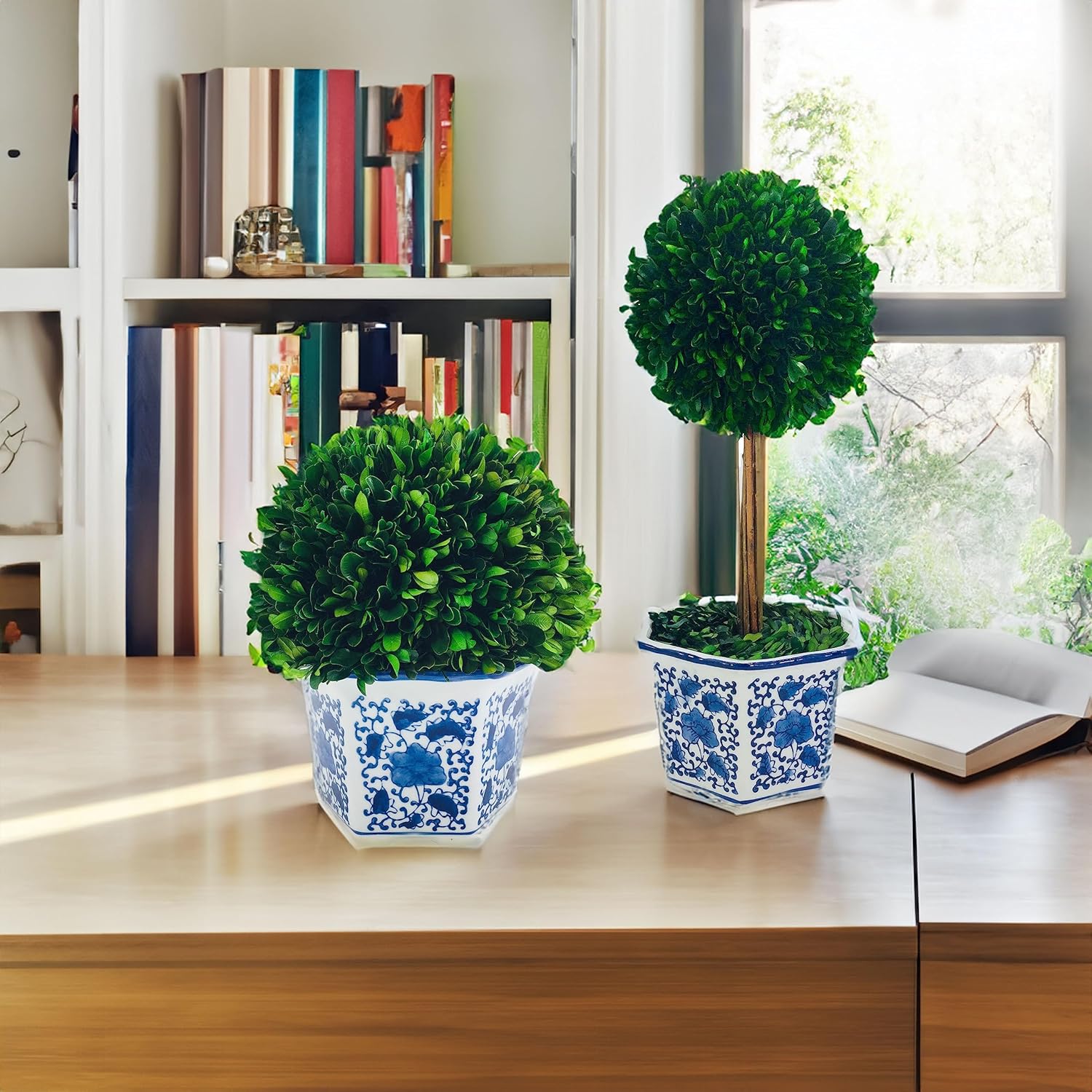 Galt International Preserved Boxwood Topiaries Blue White Pot 11 Ball 19 Tree